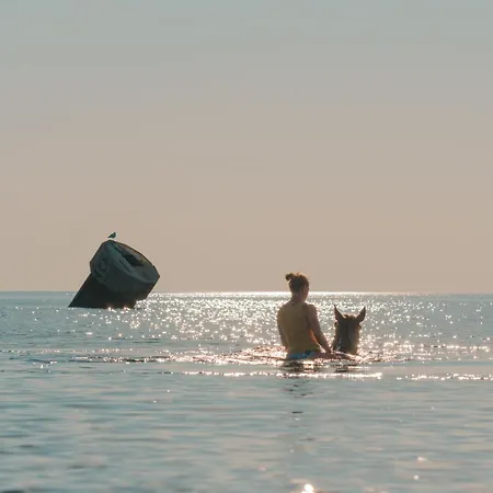 Windhauch * Westermarkelsdorf