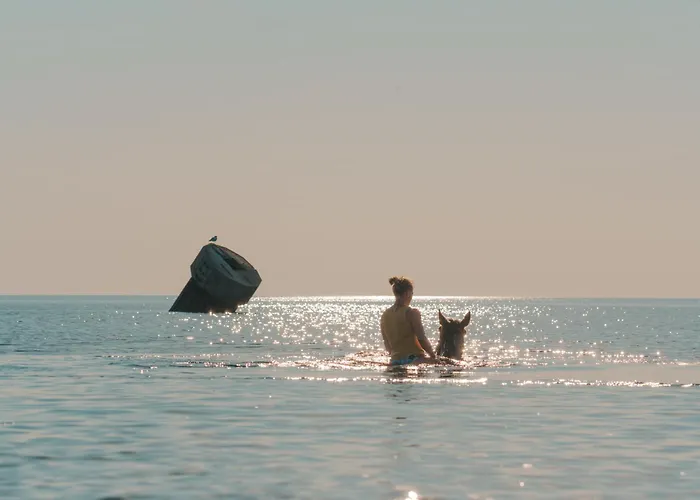 Windhauch * Westermarkelsdorf